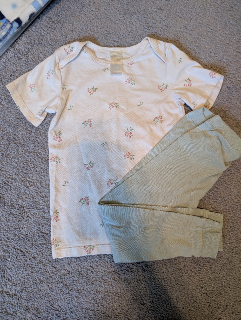 H&M Cream Top with Pink Floral and Sage Green Leggings 2T 3T Cotton